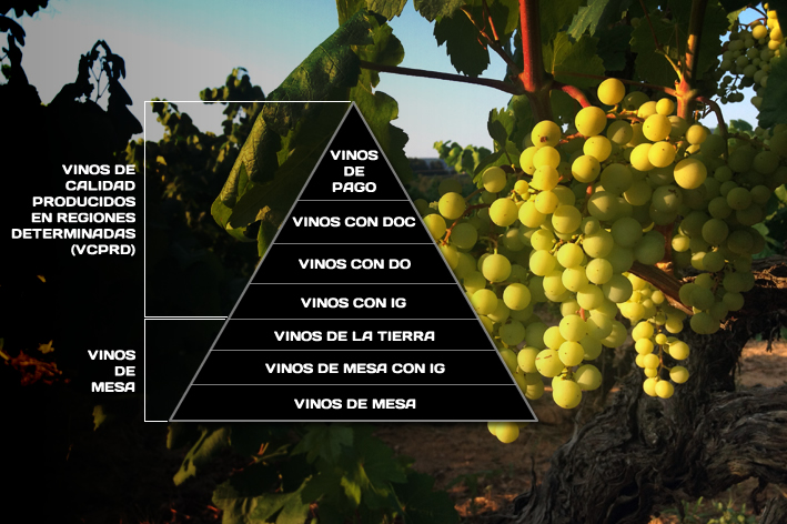 Категории качества испанских вин