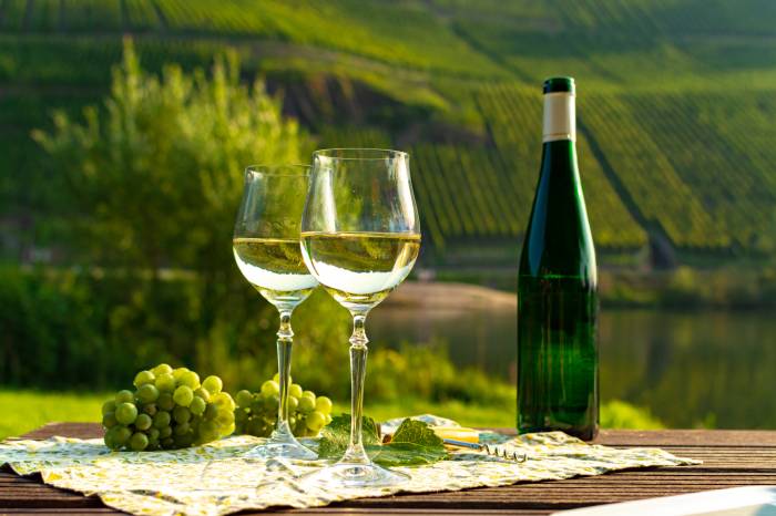 German Wine Harvest Hits 16 Percent Below Average as Domestic Market Share Falls to 41 Percent