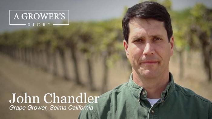 California Winegrape Growers Elect New Board Chair Amid Industry Uncertainty