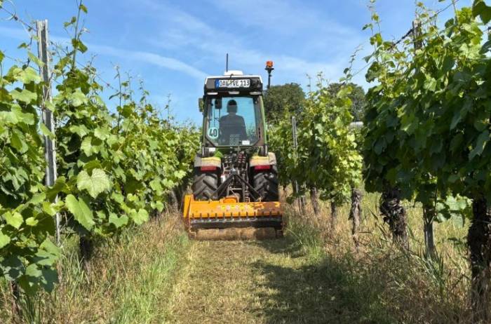 Bordeaux Faces 50 Percent Vineyard Loss as 80 Percent of Wine Businesses Near Insolvency