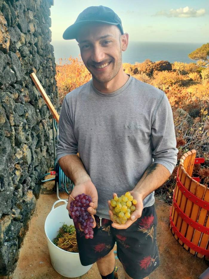 Vinetur