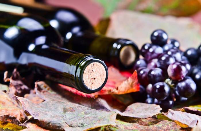 Global Organic Wine Market Reaches $12.9 Billion in 2024 as Demand for Sustainable Products Surges