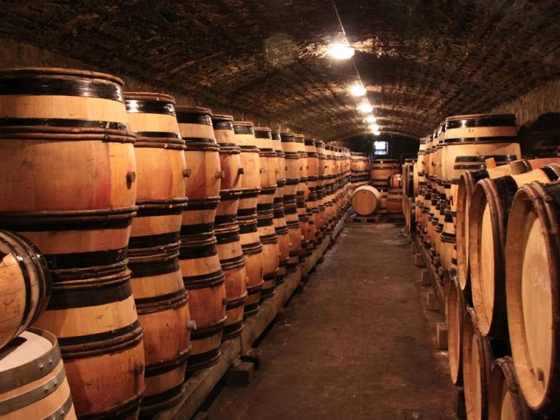 France Launches Wine Distillation Program
