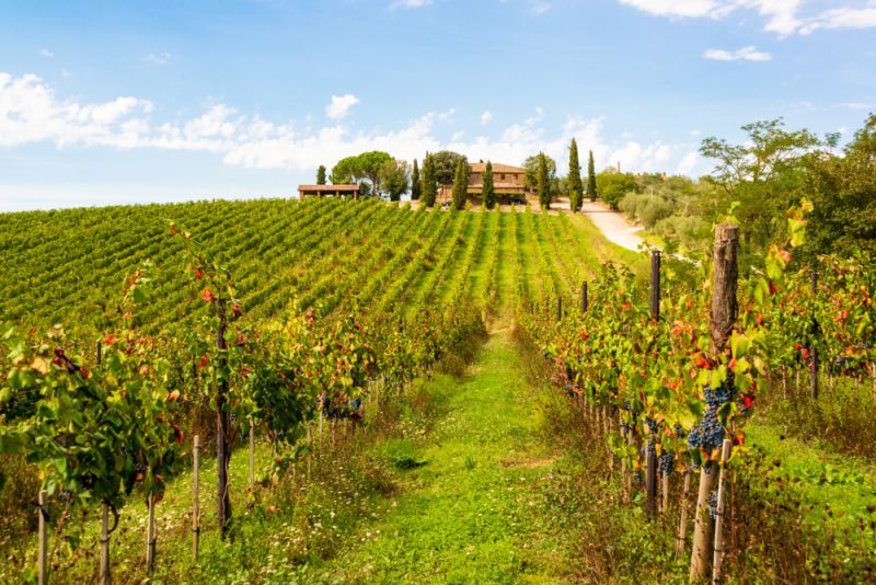Tuscany Expands Sparkling Wine Rules
