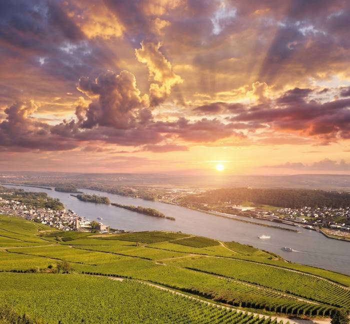 VDP Launches New Classification System for Rheingau Vineyards