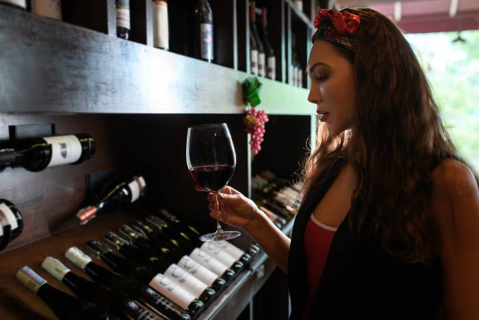 Treasury Wine Estates Shares Plunge Over 50% in 2025 Amid Global Demand Slump