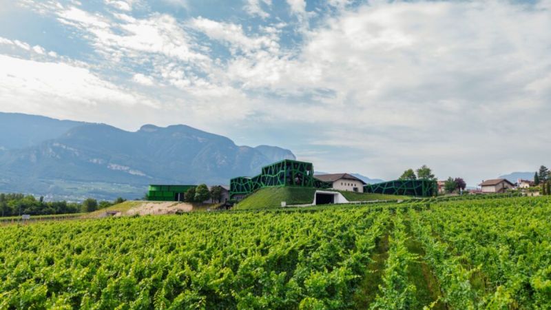 Cantina Tramin inaugura nueva estructura productiva