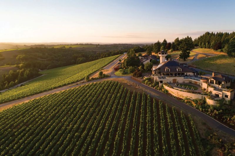 ¡Invierte en vino y únete a la comunidad de accionistas de Willamette Valley Vineyards!