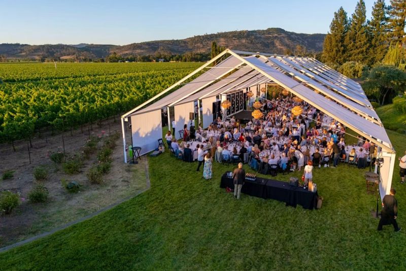 Subasta benéfica del Valle de Napa: ¡Vinos y solidaridad a lo grande!