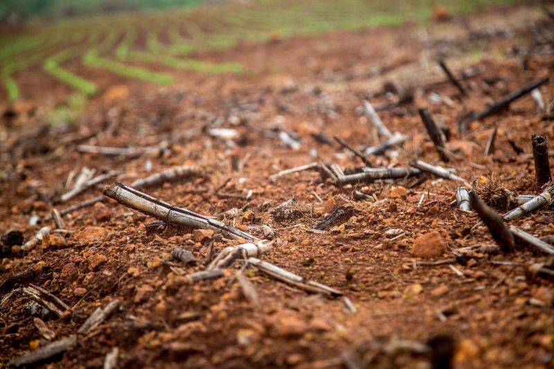 El desplome del consumo de vino en California: ¿Qué está pasando?