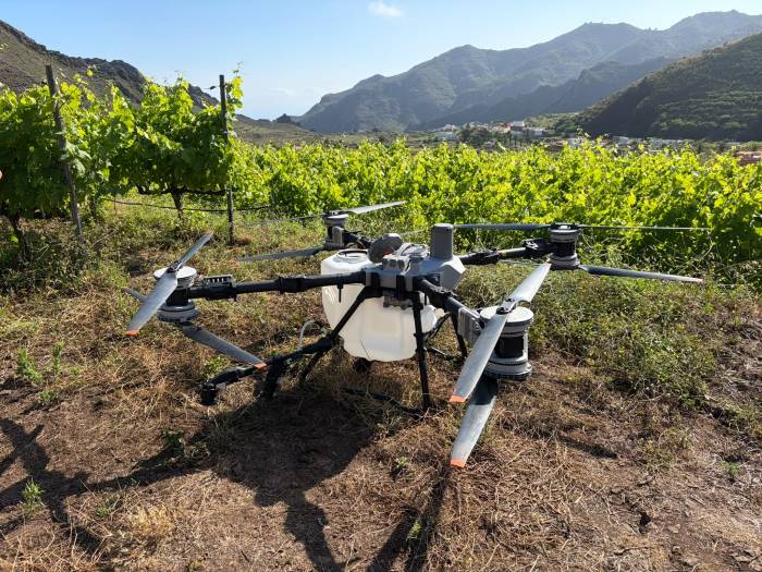 Canary Wine participa en PENVITIS+ para modernizar la viticultura en pendiente