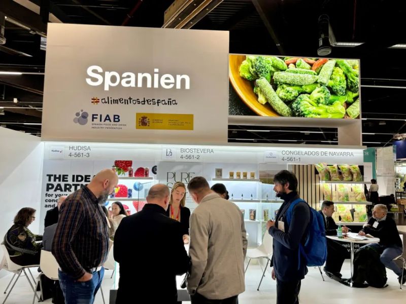 Descubre la diversidad de los vinos españoles sin tecnicismos