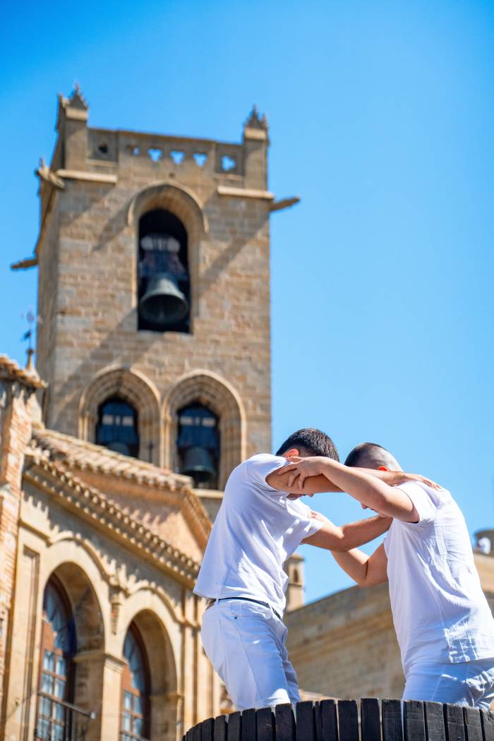 Apertura de la Vendimia en Olite/Erriberri: Fiesta del Vino y Tradición