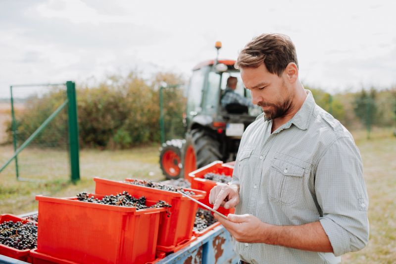 El impacto de las regulaciones en las pequeñas bodegas de California