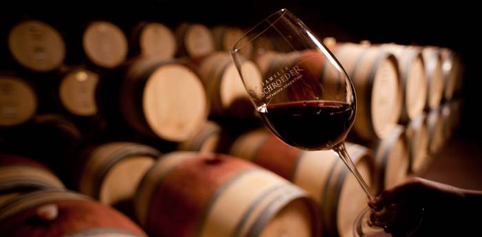 Descubre el fascinante mundo del Pinot Noir en la Patagonia argentina