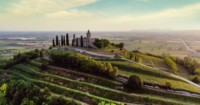 Lombardy Unveils €5.2 Million Plan to Restructure Vineyards for 2026-2027 Season
