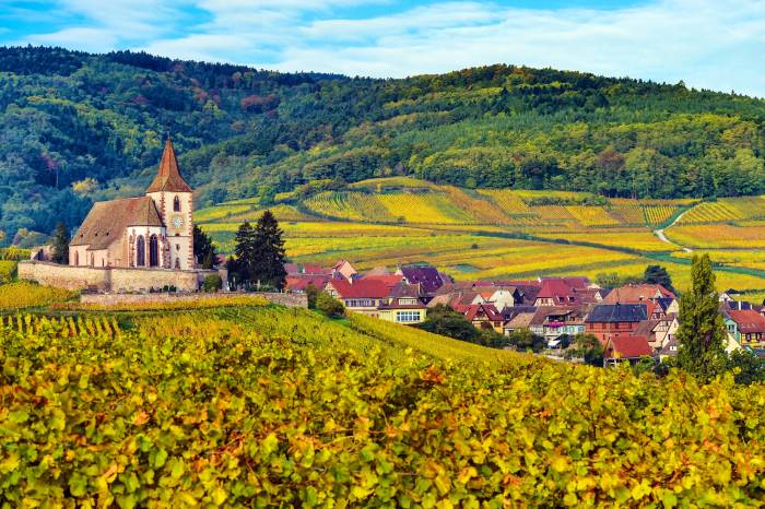 Wine Cooperatives in Nouvelle-Aquitaine Face Closures as Audits Confirm Irreversible Decline in Consumption