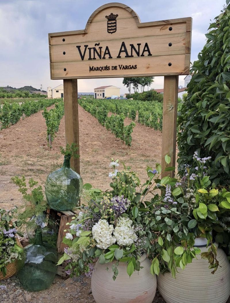 Vinetur