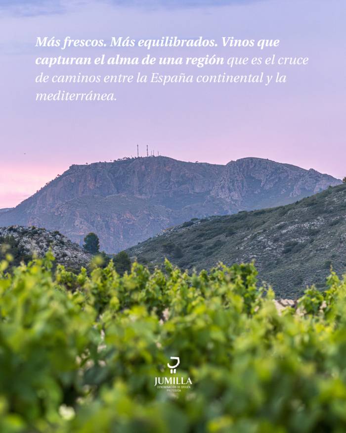 Vinetur
