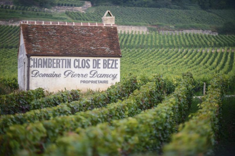 La especulación en Borgoña: Louis Roederer compra Pierre Damoy