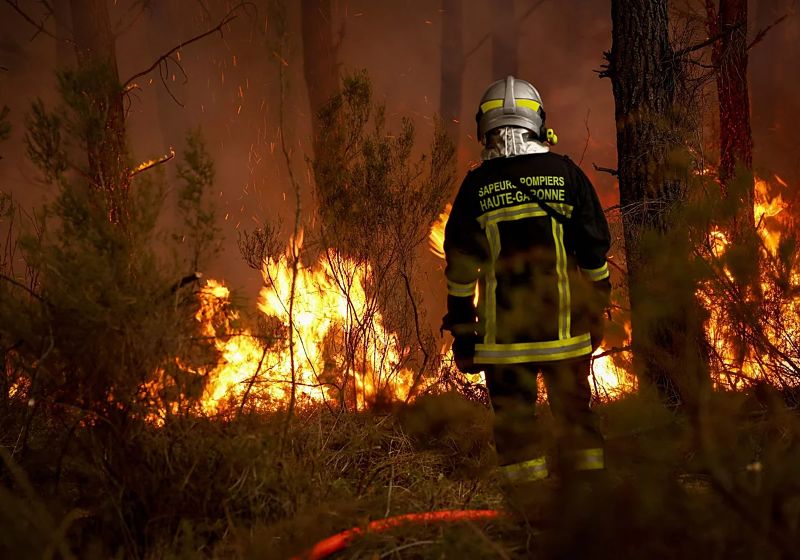 Alerta en Burdeos: incendios amenazan la región vinícola