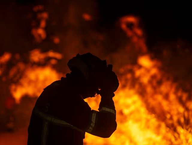 Incendios en Francia y España: Impacto en las zonas vinícolas