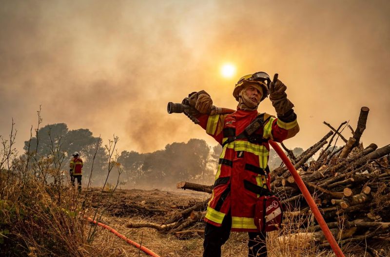 Incendios en Burdeos: amenaza para el vino francés
