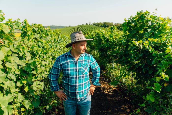 U.S. Wineries Suffer Record Export Decline as Tariffs Slash Sales to Canada by 80%