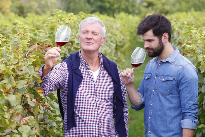 National Wine Careers Week Returns to Lewes to Boost UK Wine Industry Talent