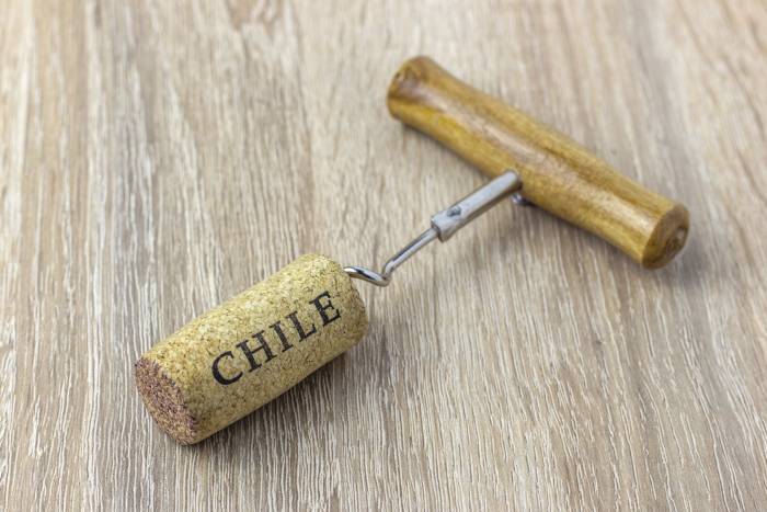 Chilean Bottled Wine Exports Fall 12.5% in January as Key Markets Cut Purchases