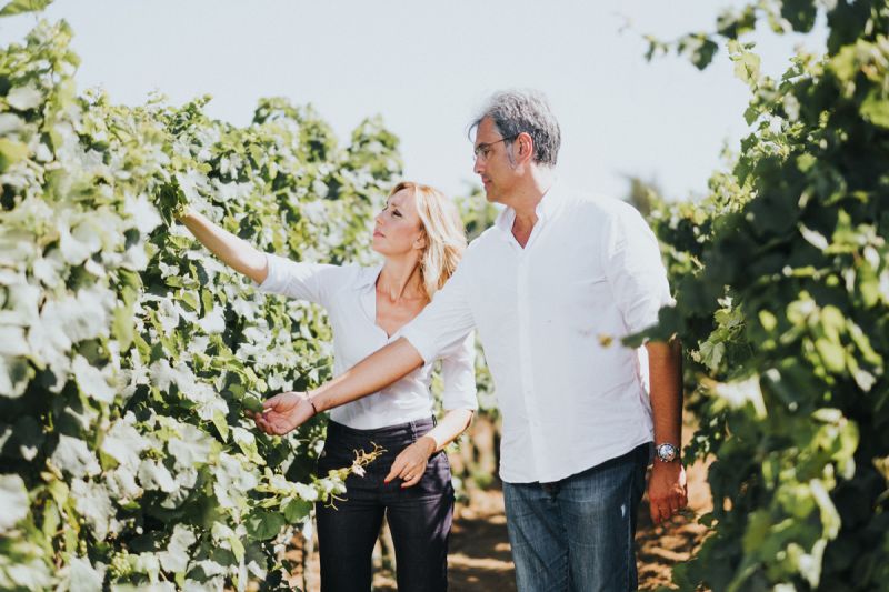 Divinea’s Wine Suite Expands Across Italian Wineries