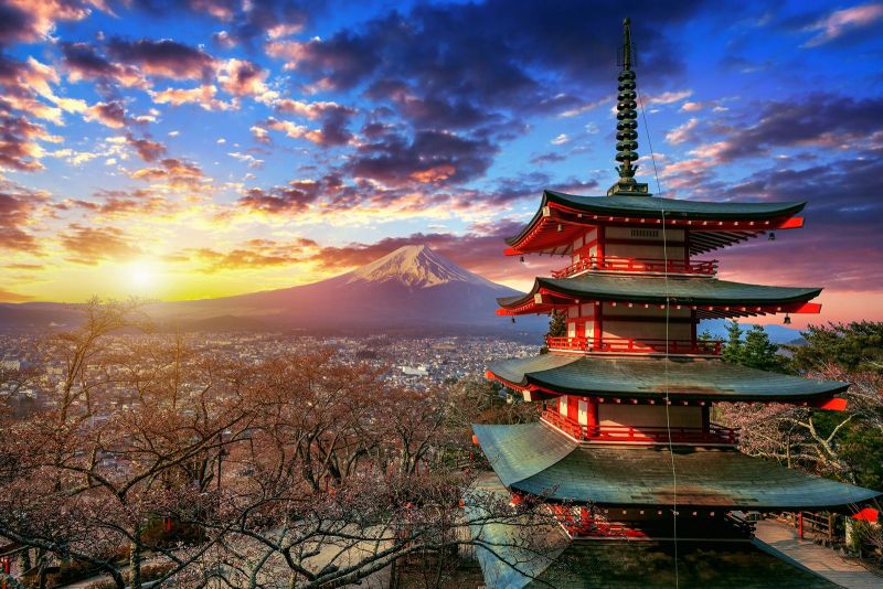 Australia Gains Ground in Japan’s Wine Market