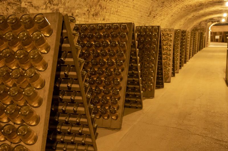 Champagne pide elevar del 13% al 15% el límite de alcohol para salvar parte de la vendimia