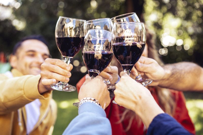 Chile abre una categoría legal propia para los vinos de baja graduación