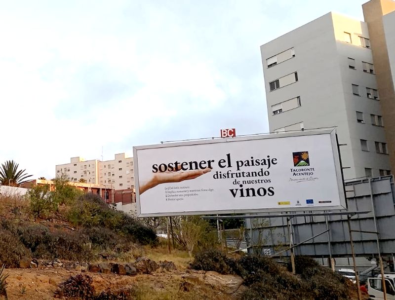 Tacoronte-Acentejo lanza una campaña que vincula sus vinos con la conservación del paisaje
