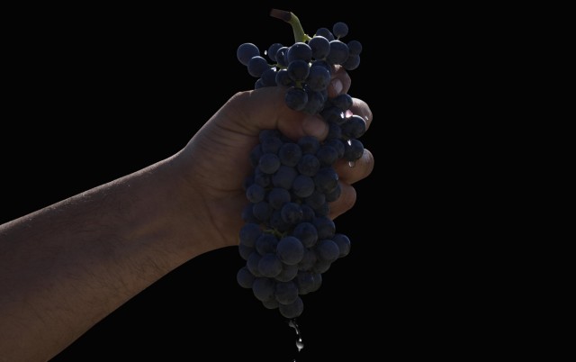 Vinetur