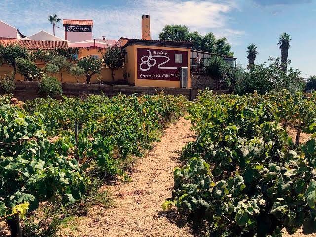 Bodegas Reverón se integra oficialmente en la red de Enoturismo Spain