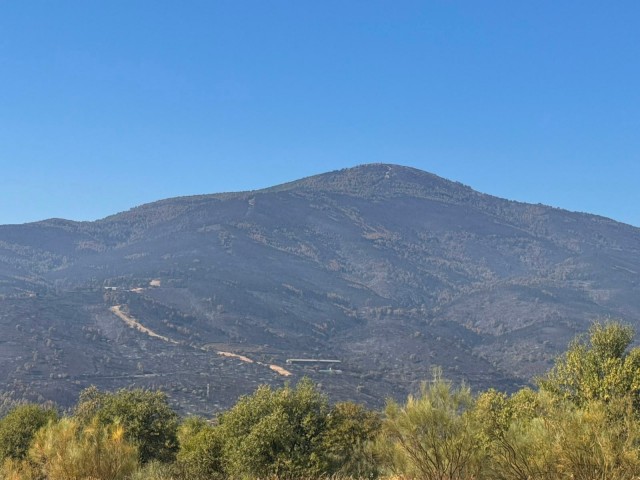 El valor de un paisaje vivo