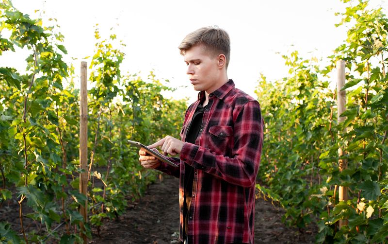 Descubre las últimas tendencias en innovación del sector del vino australiano